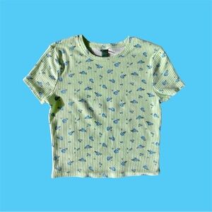 Pastel green and blue floral ribbed top